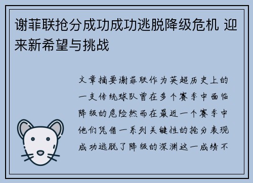 谢菲联抢分成功成功逃脱降级危机 迎来新希望与挑战