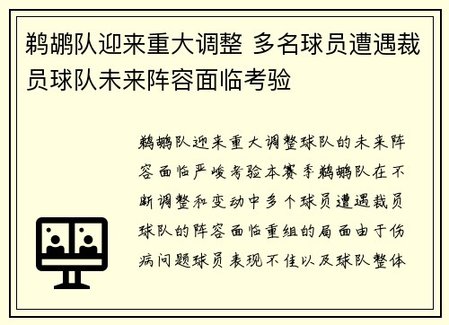 鹈鹕队迎来重大调整 多名球员遭遇裁员球队未来阵容面临考验