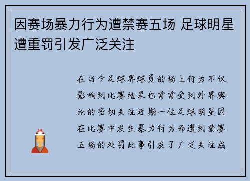 因赛场暴力行为遭禁赛五场 足球明星遭重罚引发广泛关注