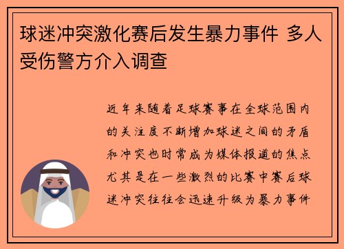球迷冲突激化赛后发生暴力事件 多人受伤警方介入调查